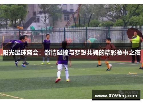 阳光足球盛会：激情碰撞与梦想共舞的精彩赛事之夜