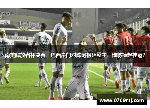 南美解放者杯决赛：巴西豪门对阵阿根廷霸主，谁将捧起桂冠？
